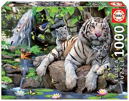 Jigsaw puzzle 1000 pieces Educa: White Bengal tigers