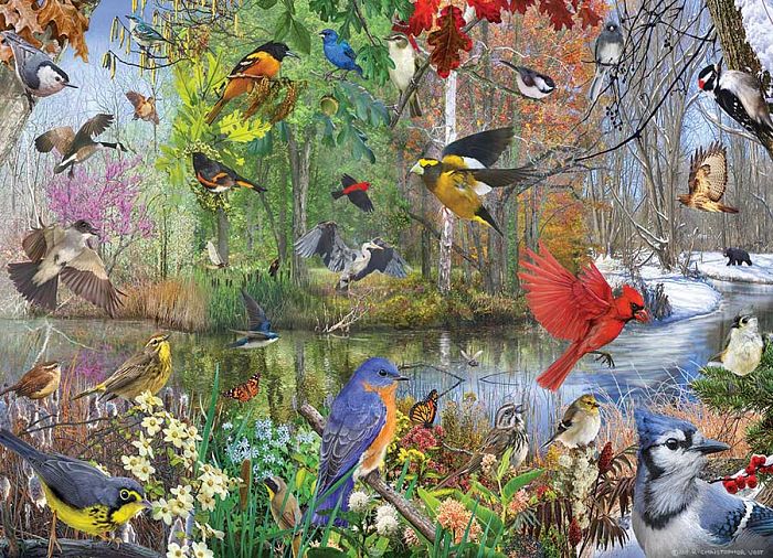Cobble Hill puzzle 1000 pieces: Birds at times of the year 80243