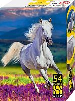 Набор 5 пазлов по 54 детали Step: Лошади. Символ года