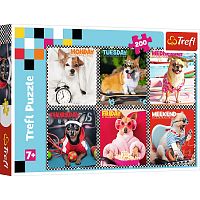 Puzzle Trefl 200 details: Funny dogs