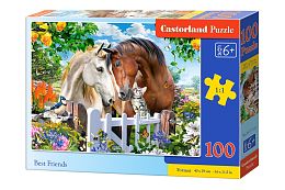 Castorland jigsaw puzzle 100 pieces: Best friends