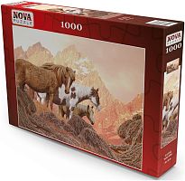 Nova 1000 Pieces Puzzle: Wild Horses