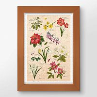 Pintoo 600-piece puzzle: Mandie. Winter flowers