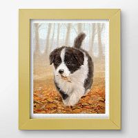 Pintoo 500 Piece Puzzle: John Silver. Border Collie