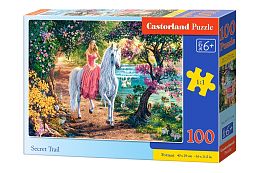 Castorland jigsaw puzzle 100 pieces: Secret paths