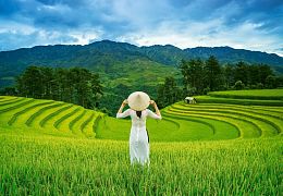 Castorland 1000 Pieces Puzzle: Rice Fields in Vietnam