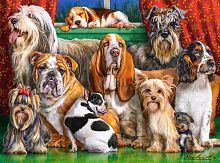 Puzzle Castorland 3000 pieces: Dogs