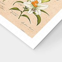 Pintoo 600-piece puzzle: Mandie. Summer flowers