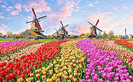 Pintoo 1000 puzzle pieces: windmills Netherlands