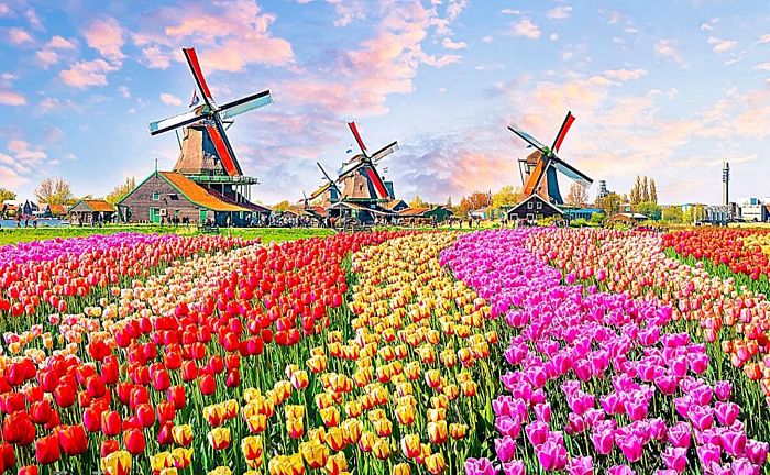 Pintoo 1000 puzzle pieces: windmills Netherlands Н2324