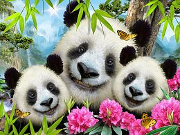Puzzle Prime 3D 63 pieces: Panda Selfies