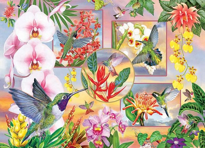 Puzzle Cobble Hill 500 pieces: hummingbirds and orchids 85061