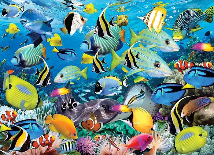 Eurographics 1000 pieces Puzzle: Ocean Colors 6000-0625