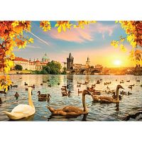 Magnolia 1000 pieces puzzle: Swans near the Charles Bridge