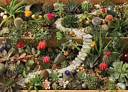 Cobble Hill 1000 Pieces Puzzle: Cactus Garden