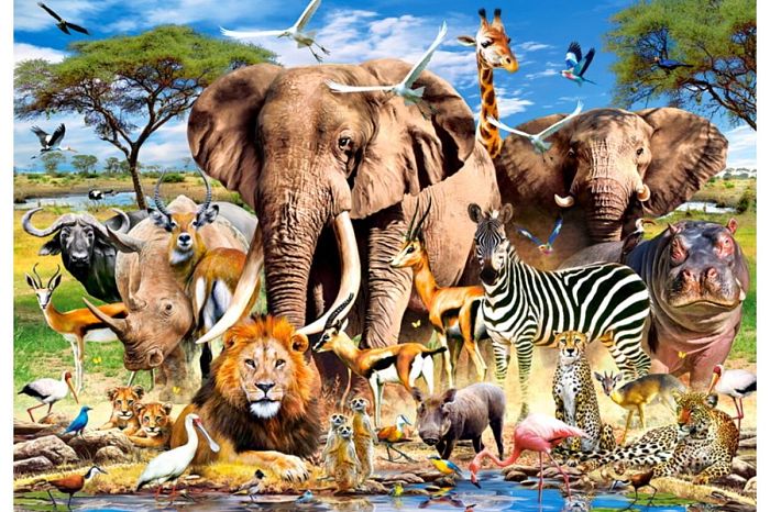Castorland 200 pieces Puzzle: Animals of the Savanna В-222155