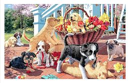 Pintoo Puzzle 1000 pieces: St.Reed. Puppy pranks