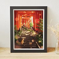 Pintoo Puzzle 1200 pieces: Solar Shower