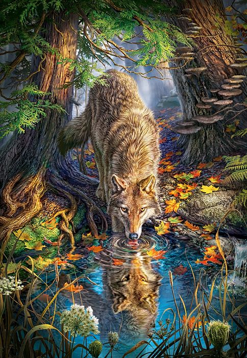 Puzzle Castorland 1500 parts: a Wolf in the wild C-151707