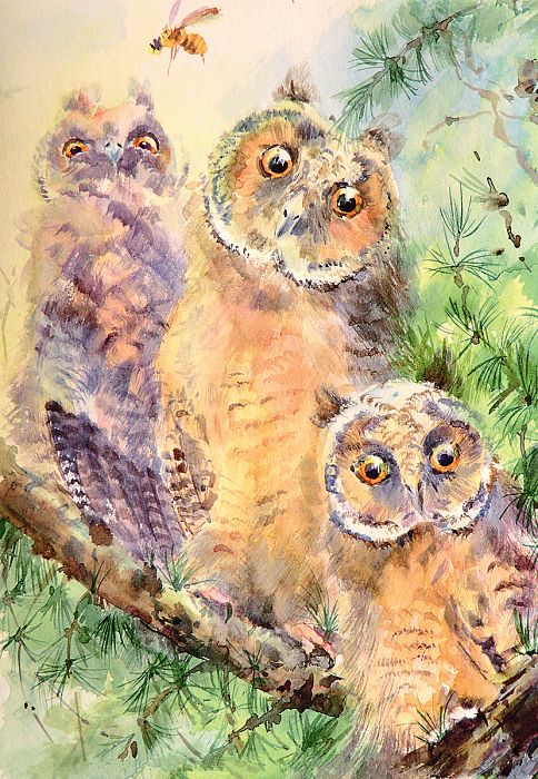 Freys 500-piece puzzle: A trio of owls PZL-500/14