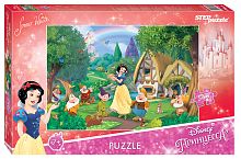 Puzzle Step 560 details: Snow white - 2