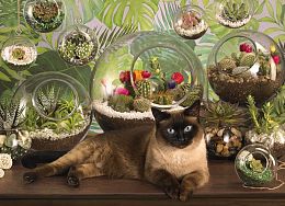 Cobble Hill Puzzle 1000 pieces: A cat in a terrarium of flowers