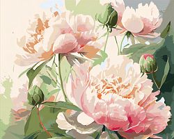 Painting by numbers Jazzle: The delicate fragrance of peonies