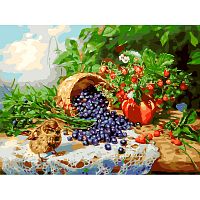 Painting by numbers Snow White: Blueberries