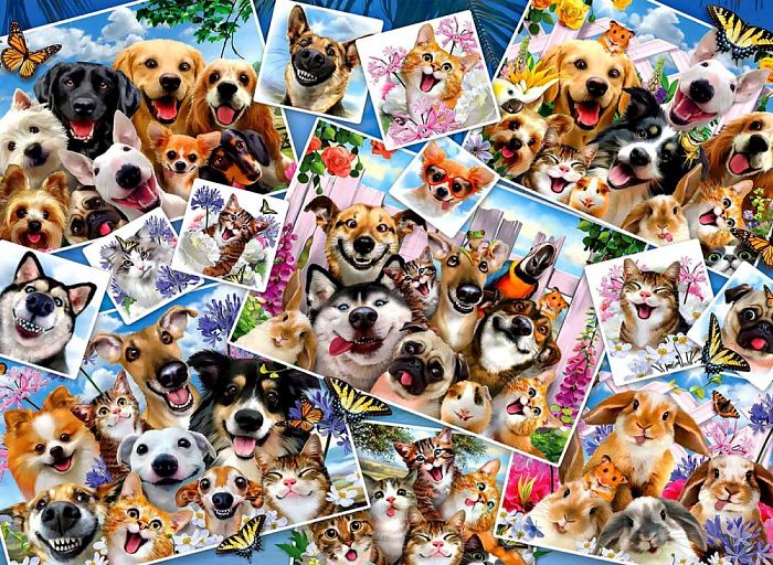 Puzzle Anatolian 2000 details: Selfie collage of pets ANA.3947
