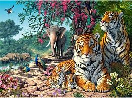Castorland 3000-piece Puzzle: Nature Reserve (MARKDOWN)