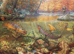 Cobble Hill 1000 Pieces Puzzle: Fisherman's Dreams