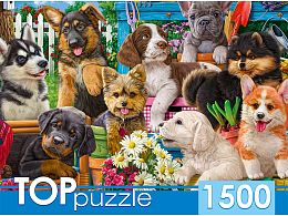 TOP Puzzle 1500 pieces: The company of puppies in the garden