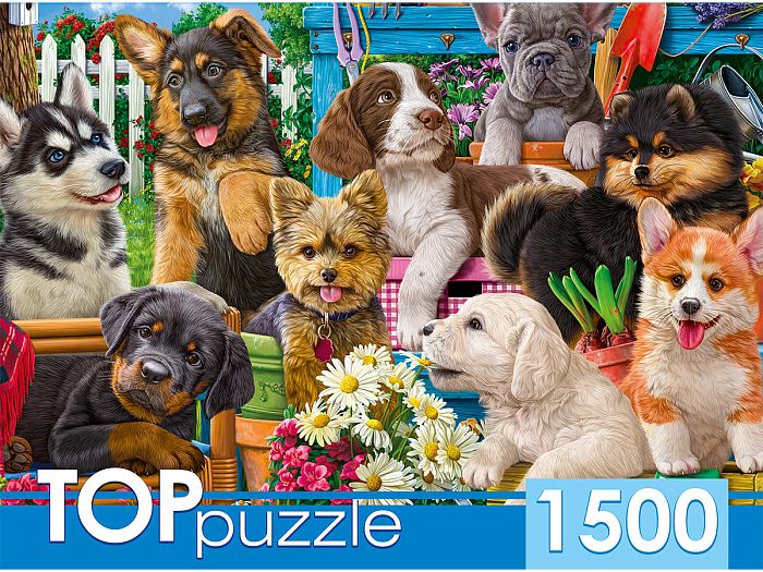 TOP Puzzle 1500 pieces: The company of puppies in the garden ХТП1500-1588