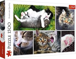 Trefl puzzle 1500 pieces: Cats collage