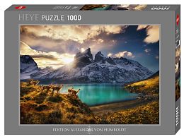 Puzzle Heye 1000 pieces: Guanaco