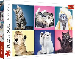 Trefl puzzle 500 items: Kittens