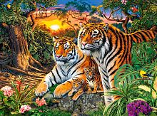 Puzzle Castorland 2000 details: A family of tigers