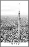 Pintoo Puzzle 1000 pieces: Black and white. Tokyo