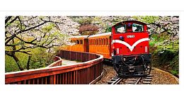 Pintoo 1000-piece Puzzle: Forest Train in Alishan National Park