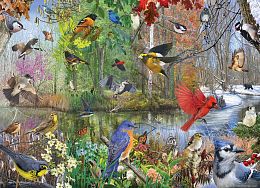 Cobble Hill 1000 Pieces Puzzle: Birds by Seasons