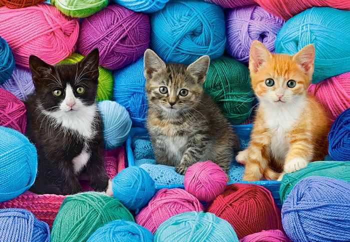 Castorland 1000 pieces puzzle: Kittens in a yarn store C-104796