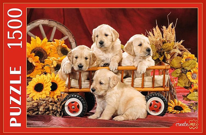 Puzzle Red Cat 1500 pieces: Puppies and sunflowers КБ1500-2647