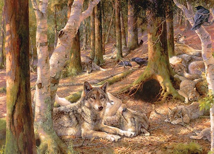 Cobble Hill 500 Pieces Puzzle: Wolf Ties 85072