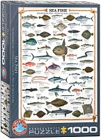 Eurographics 1000 pieces Puzzle: Sea Fish