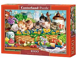 Castorland 1000 Pieces Puzzle: A Quiet Hour