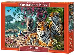 Castorland 3000 Puzzle details: Nature Reserve