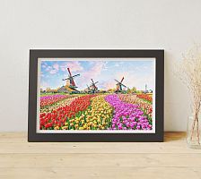Pintoo 1000 puzzle pieces: windmills Netherlands