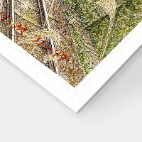 Pintoo Puzzle 1200 pieces: Tadashi Matsumoto. Autumn Garden