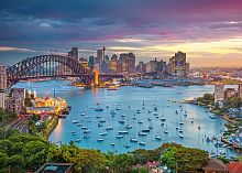 Cherry Pazzi 1000 pieces Puzzle: Sunset in Sydney