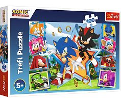 Trefl 100 Pieces Puzzle: Meet Sonic